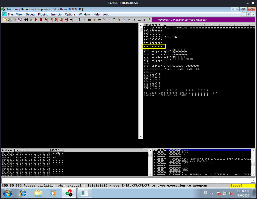 Immunity Debugger Console