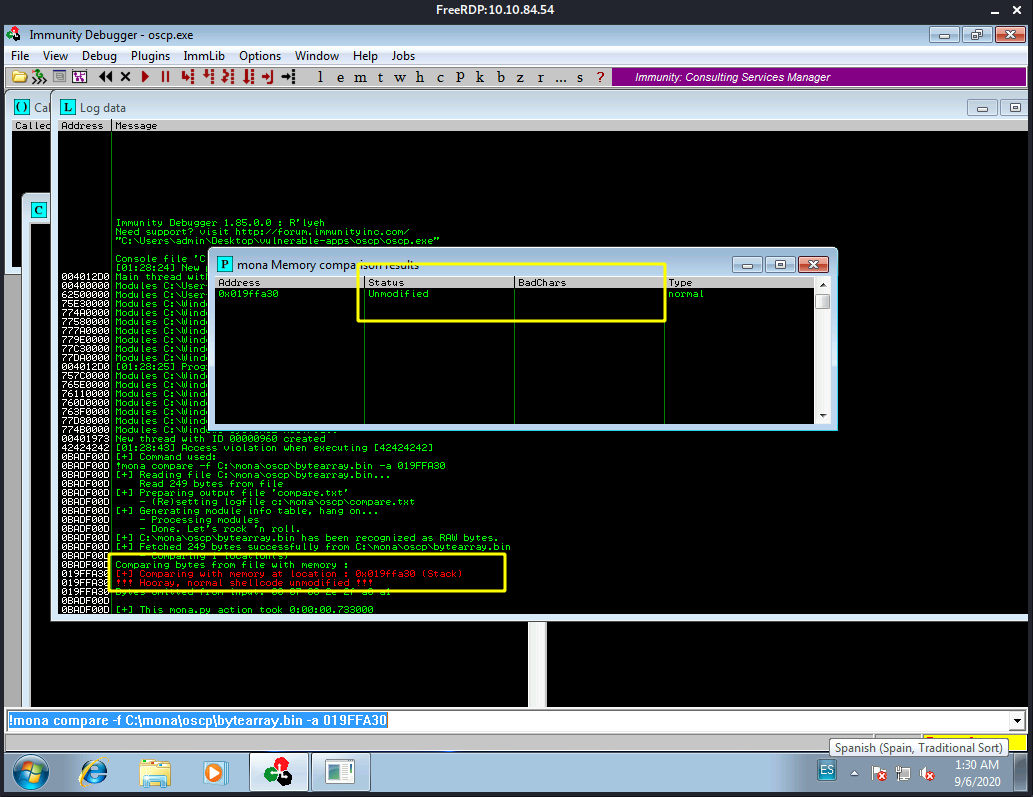 Immunity Debugger Console