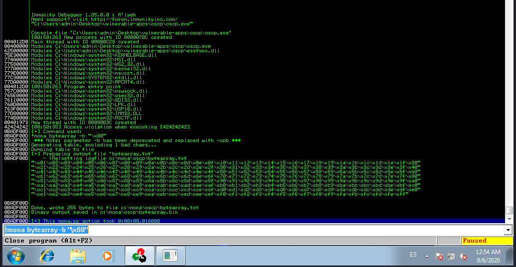 Immunity Debugger Console