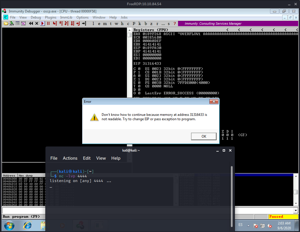 Immunity Debugger Console