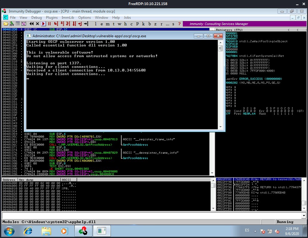 Immunity Debugger Console