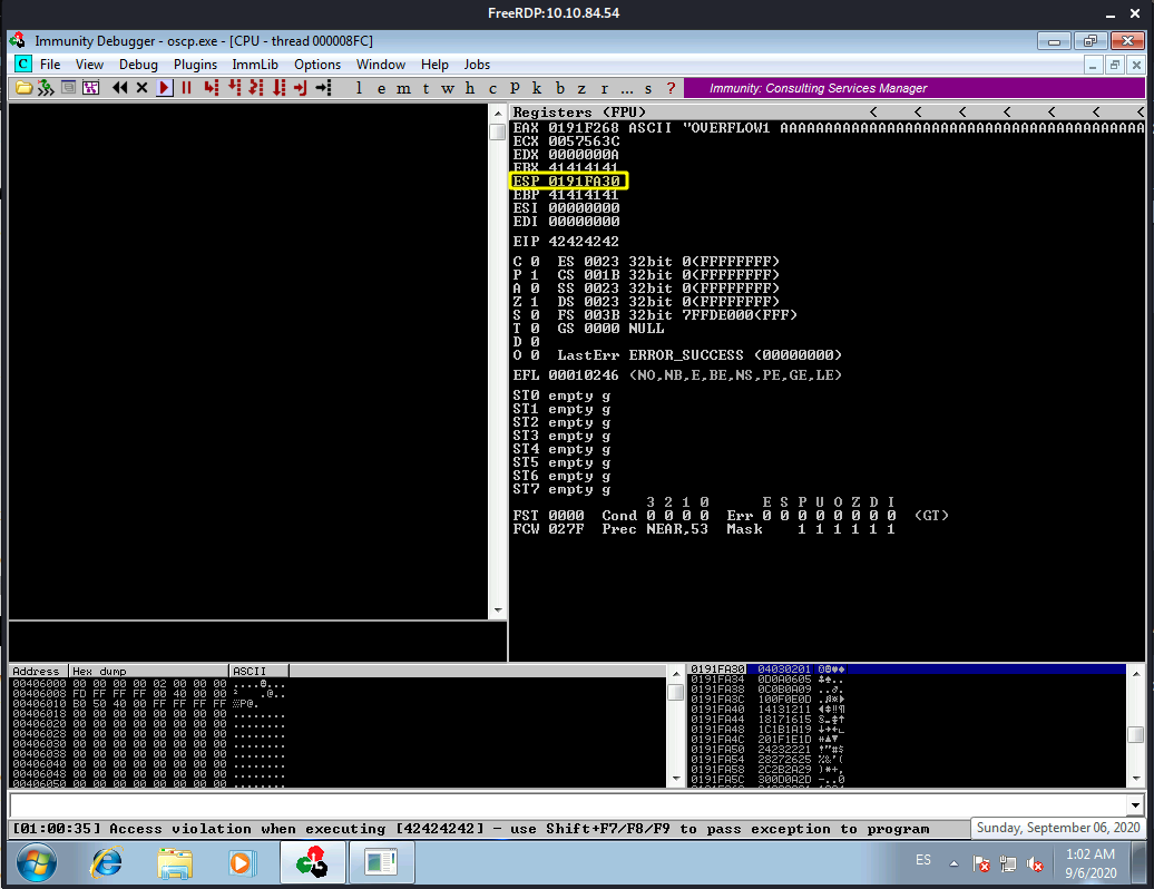 Immunity Debugger Console